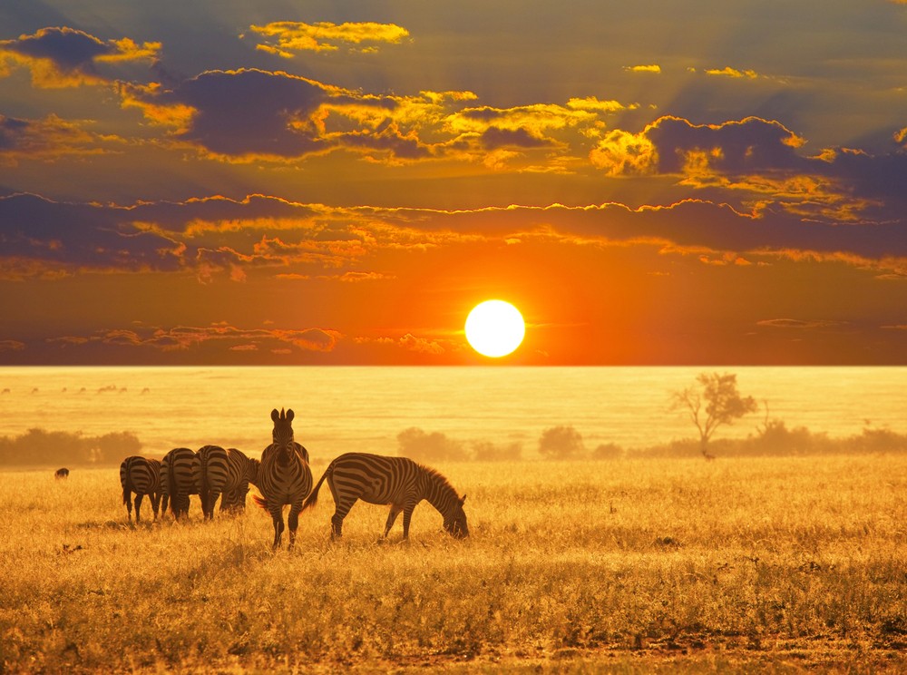 Découverte de l'Afrique du sud • Photo 1