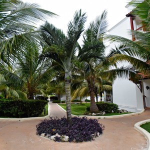 Photo hôtel