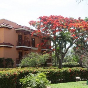 Photo hôtel