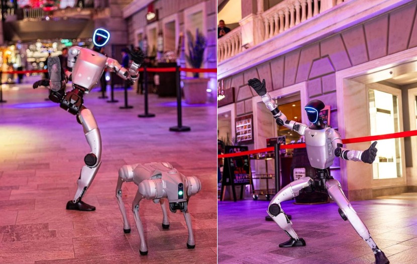 Des robots à bord des navires de MSC Croisières